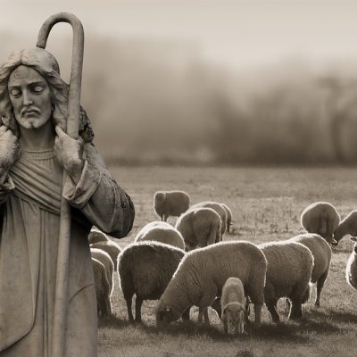 Gezinsmoment – Gelijkenis – Het verloren schaap
